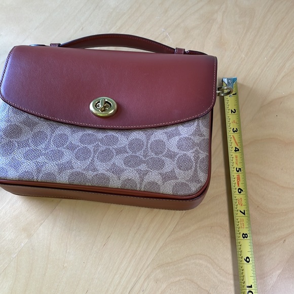 Cassie - Picture 9 of 9